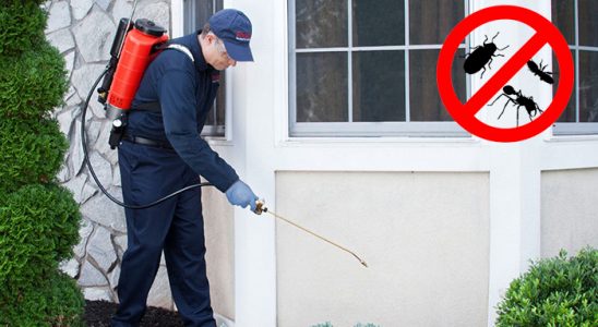 Hizan Dezenfeksiyon böcek ilaçlama ve haşere kontrolü — ilaclama-tr.com